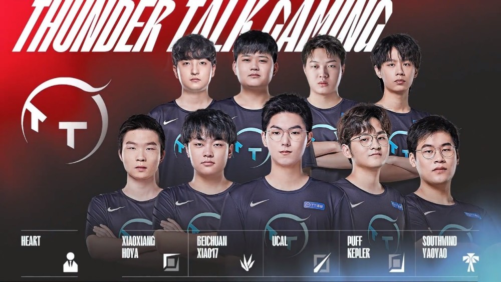 转会案例的 转会案例的