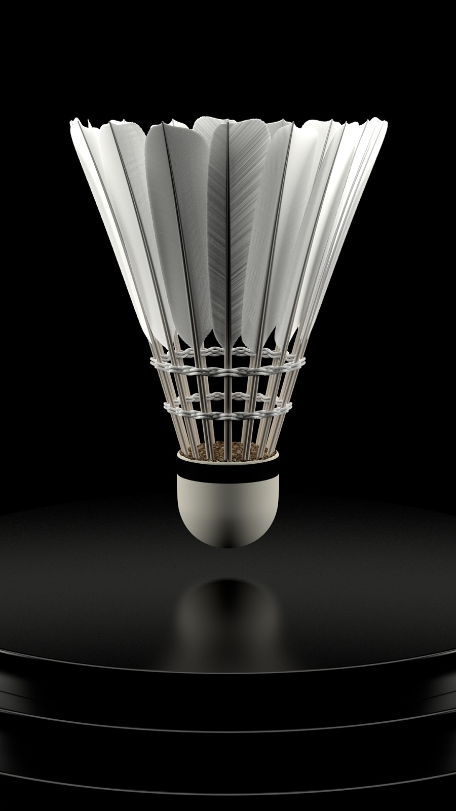 果不仅在内 果不仅在内