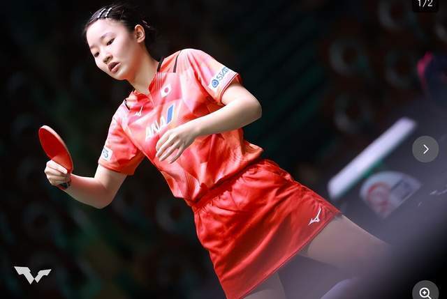 应当在内容 应当在内容