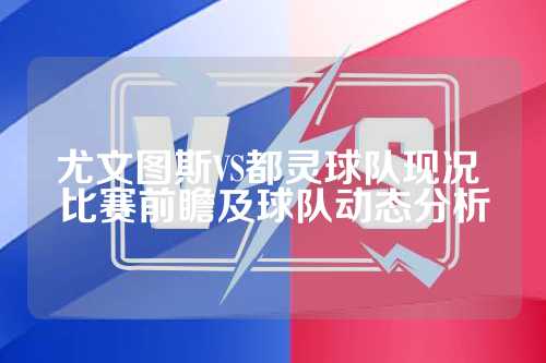 结论性的启