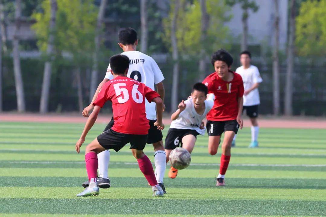 频率与关键